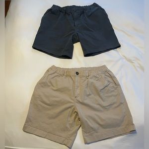 Chubbies Mens Short